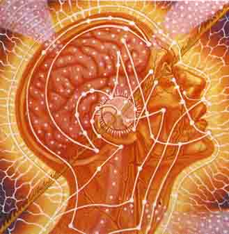 BODY, MIND, SPIRITDetail:Center of 3 panels.SACRED MIRRORS, Alex Grey, 1985